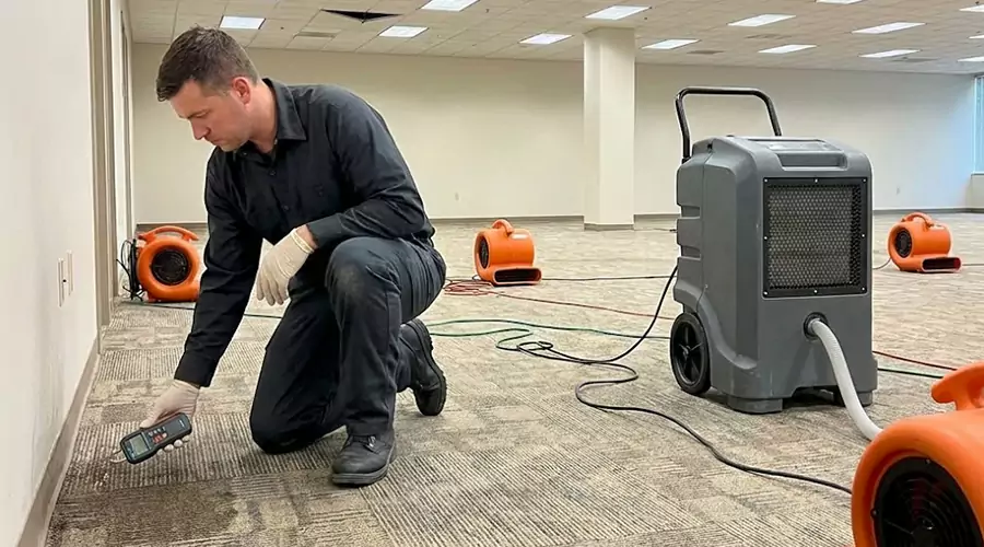 How Professionals Find Hidden Moisture After a Leak