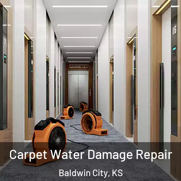  Carpet Water Damage Repair Baldwin City, KS