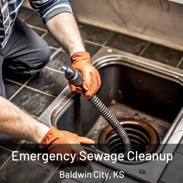  Emergency Sewage Cleanup Baldwin City, KS