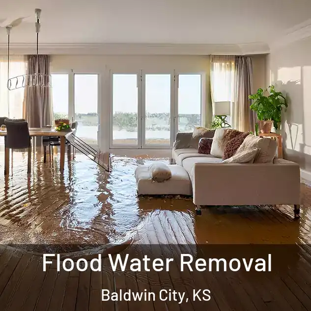  Flood Water Removal Baldwin City, KS