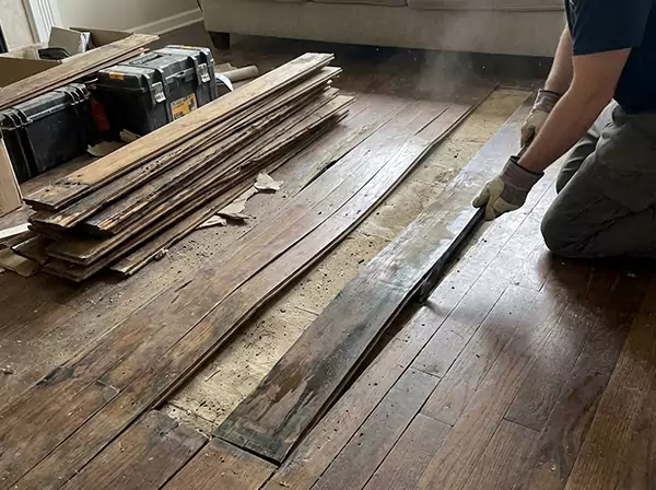 Water Damage Drying in Baldwin City