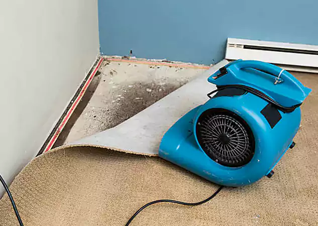 Your Water Damage Experts in Baldwin City, KS
