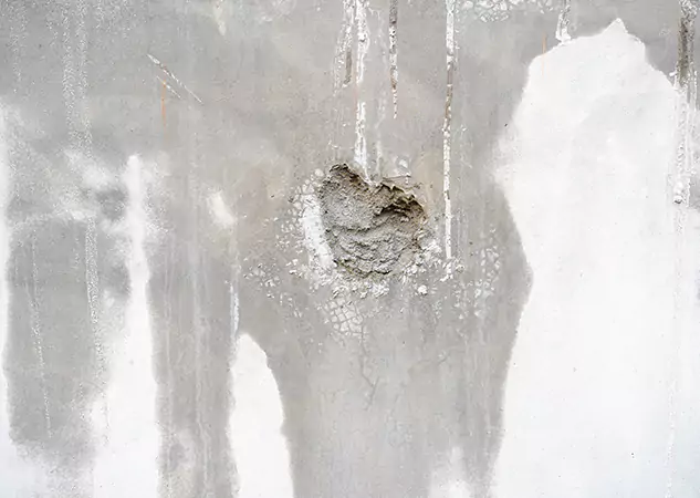 Your Mold Mitigation Solutions Partner in Baldwin City, KS