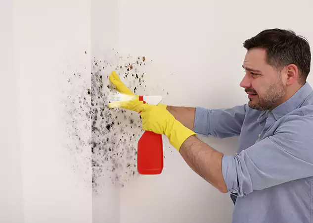 Your Water Mold Fire Restoration Partner in Baldwin City, KS