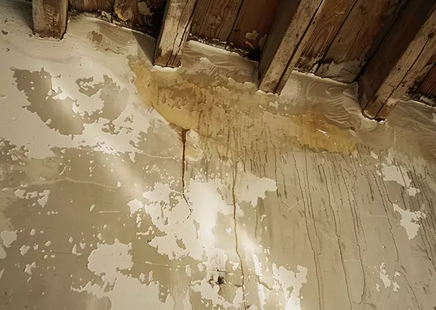 Your Trusted Restoration Company in Baldwin City, KS