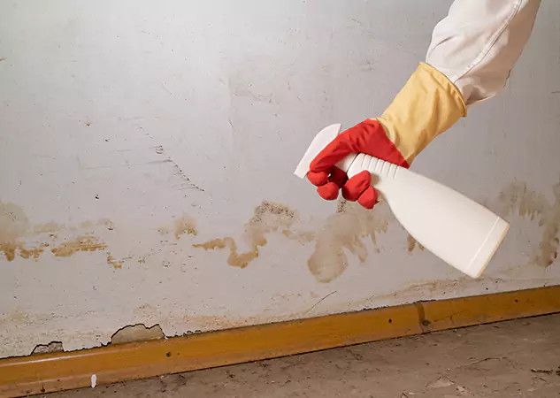 Your Water Restoration and Mold Remediation Specialists in Baldwin City, KS
