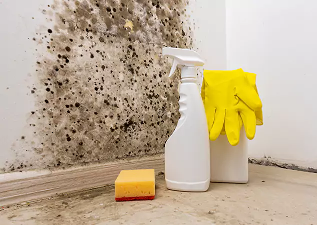 Your Reliable Restoration Company in Baldwin City, KS