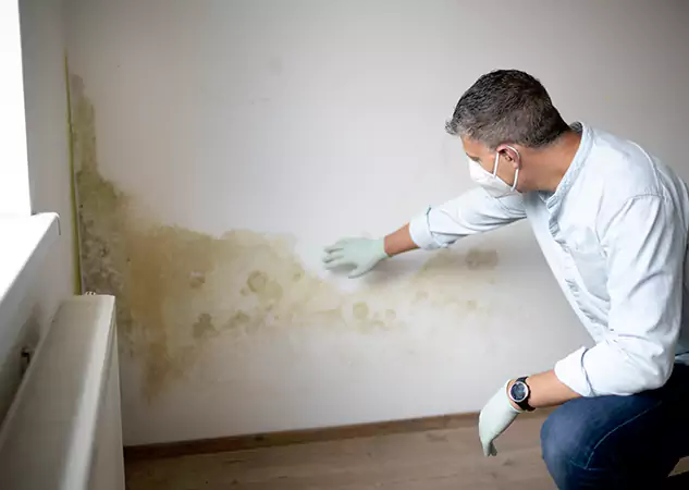 Reach Our Remediation Team Before Damage Grows in Baldwin City, KS!