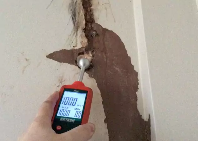 Your Water Damage Assessment Partner in Baldwin City, KS