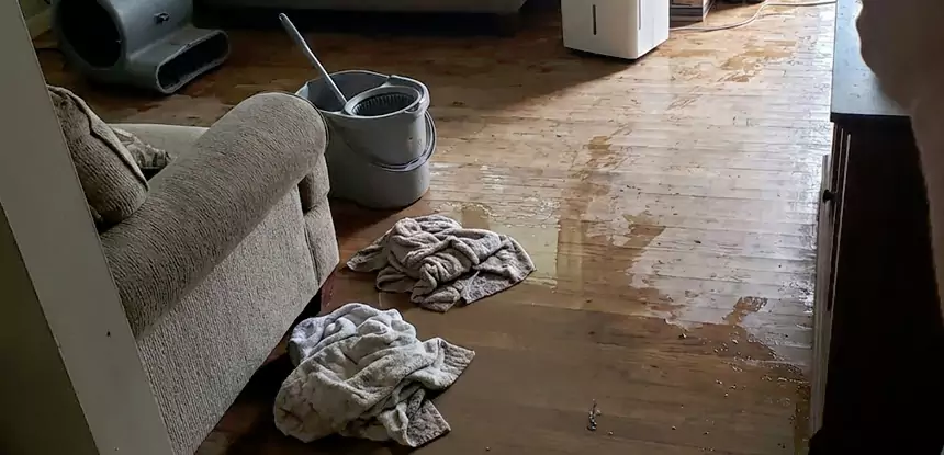 Professional Basement Water Remediation Services in Baldwin City, KS