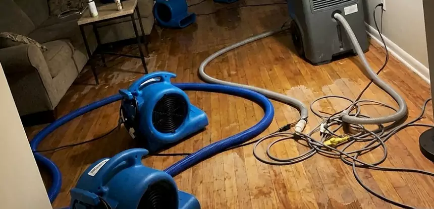 Basement Flood Restoration Services in Baldwin City