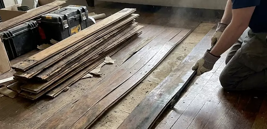 Wood Rot and Fungus Repair in Baldwin City