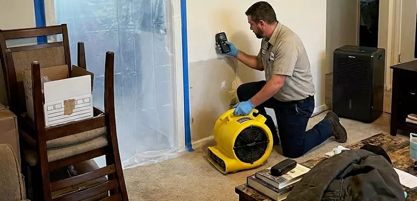 Carpet Water Damage Repair Baldwin City