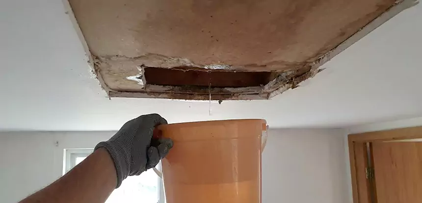 Ceiling Mold Repair Baldwin City 