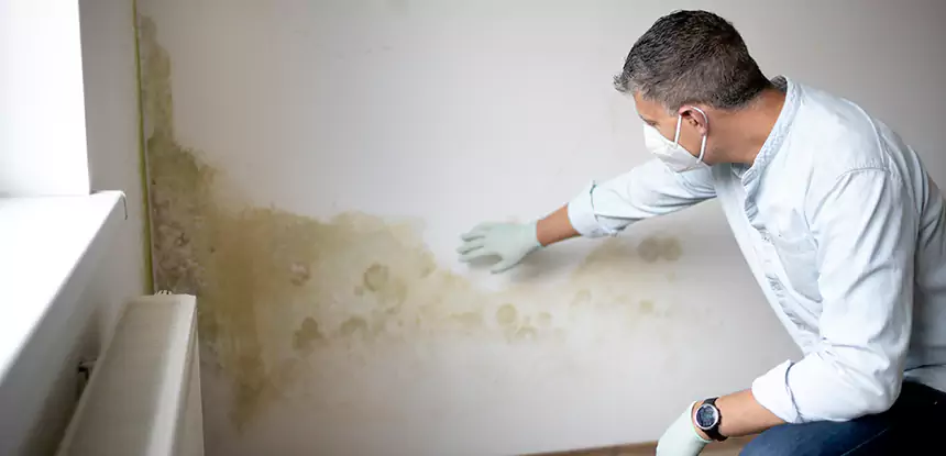 Mold and Water Damage Repair in Baldwin City