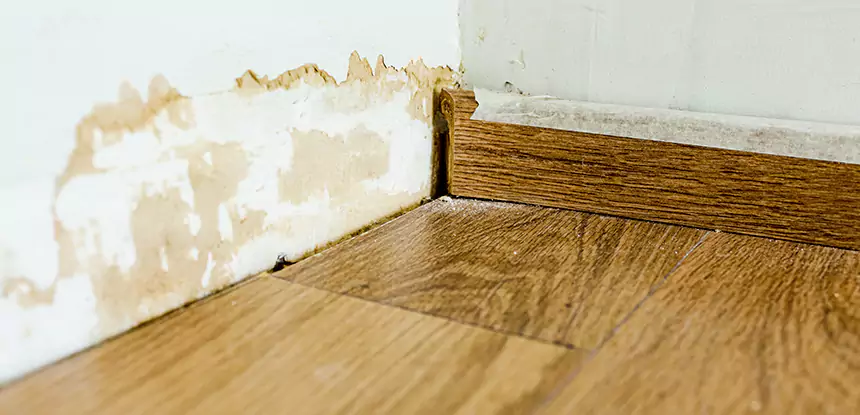 Professional Fix Water Damaged Wood Services in Baldwin City, KS