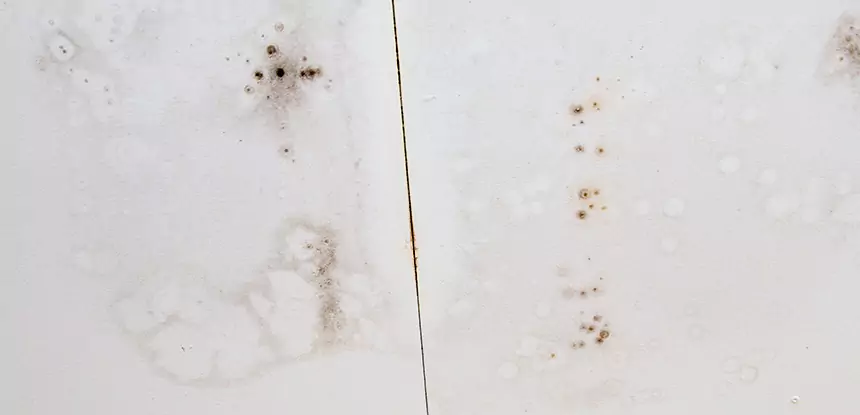 Professional Water Stain Repair Services in Baldwin City, KS