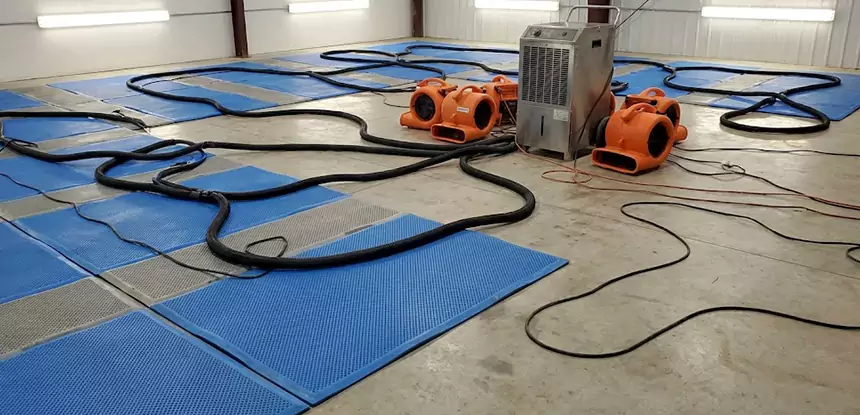 Professional Flooded Carpet Drying Services in Baldwin City, KS