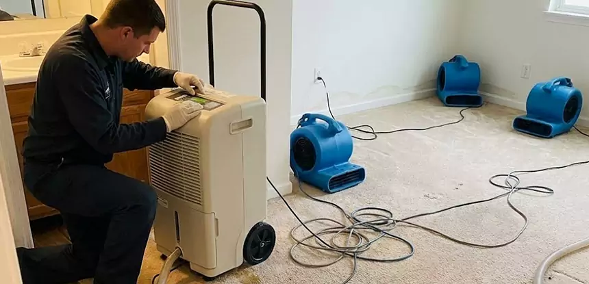 Professional Wet Carpet Removal Services in Baldwin City, KS