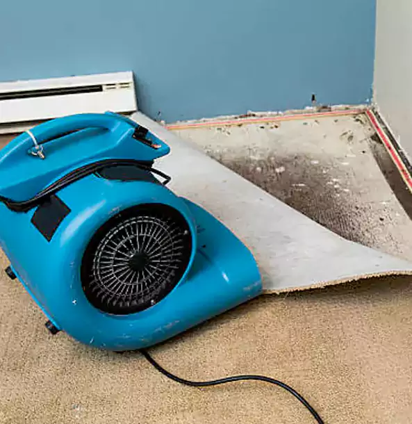 Why Baldwin City Trusts Baldwin City Restoration Pro for Carpet Flood Recovery?