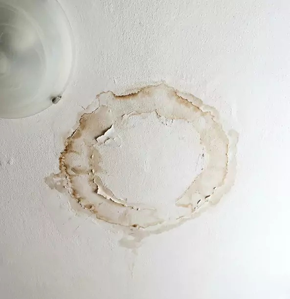 Why Baldwin City Property Owners Choose Baldwin City Restoration Pro for Ceiling Water Damage Restoration?