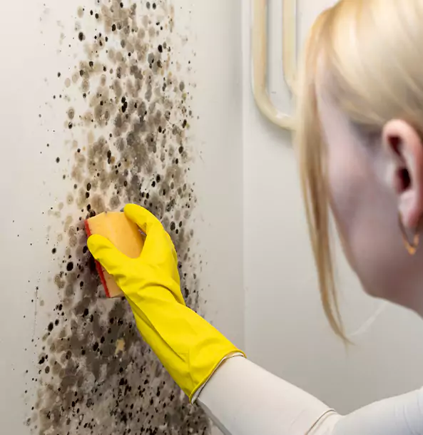 Why Baldwin City Restoration Pro Leads Mold Remediation in Baldwin City?