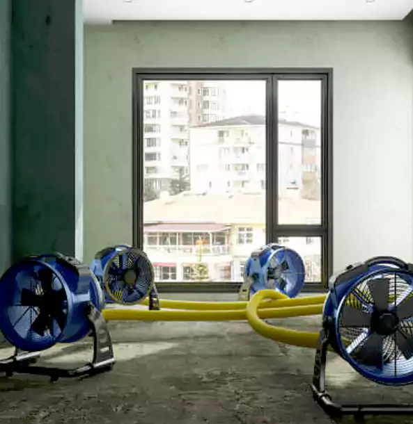 Why Baldwin City Property Owners Trust Baldwin City Restoration Pro for Water Damage Drying?