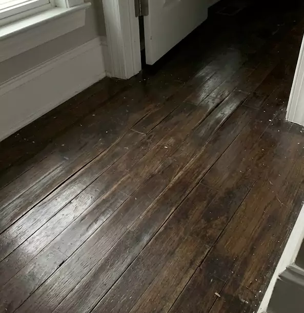 Why Baldwin City Homeowners Trust Baldwin City Restoration Pro to Fix Water Damaged Wood?