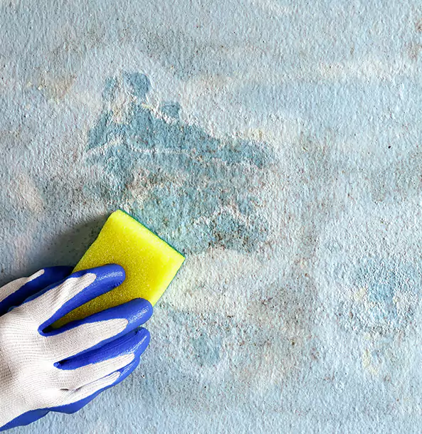 Why Baldwin City Restoration Pro Is the Right Choice in Baldwin City, KS?