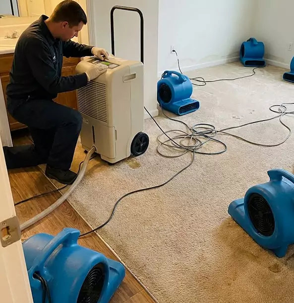 Why Baldwin City Homeowners and Businesses Trust Baldwin City Restoration Pro for Carpet Drying?