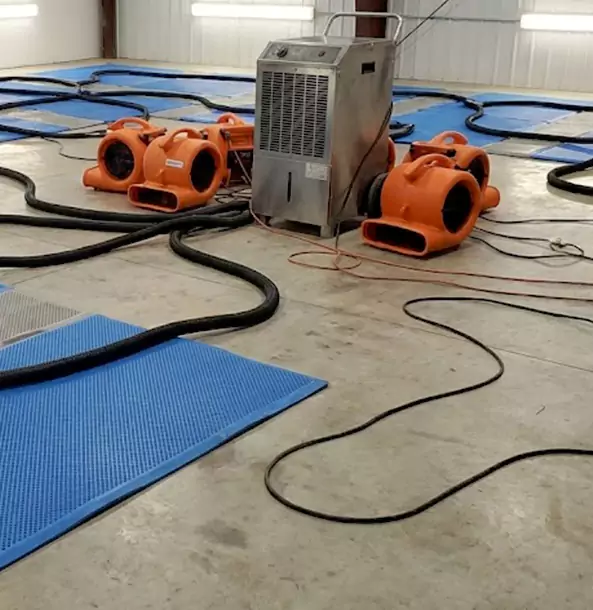 Why Baldwin City Homeowners and Businesses Choose Baldwin City Restoration Pro for Wet Carpet Removal?