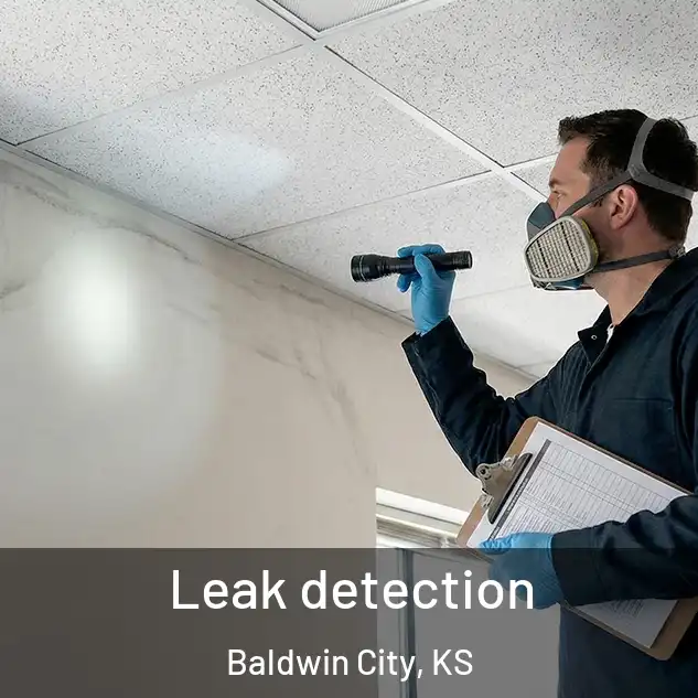  Leak detection Baldwin City, KS