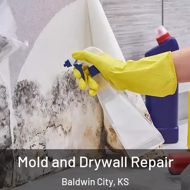  Mold and Drywall Repair Baldwin City, KS