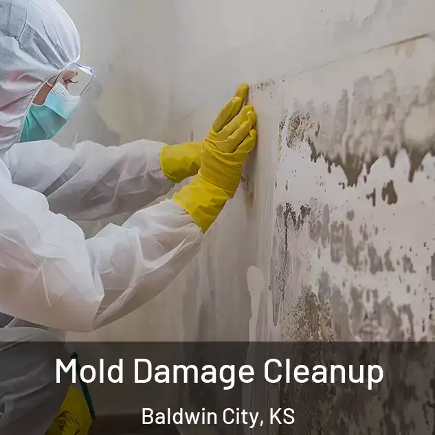  Mold Damage Cleanup Baldwin City, KS