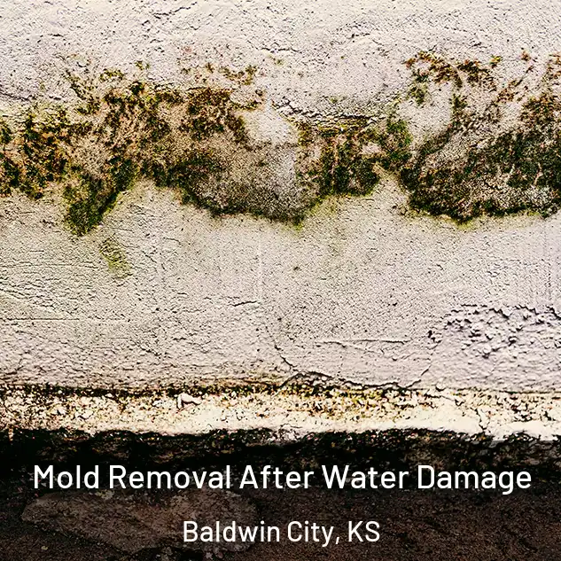  Mold Removal After Water Damage Baldwin City, KS