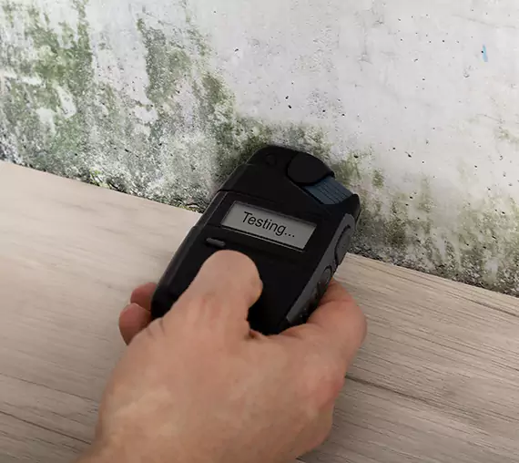 Mold Remediation Service Baldwin City