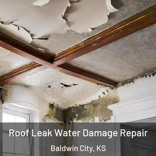  Roof Leak Water Damage Repair Baldwin City, KS