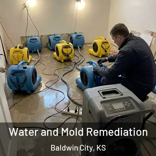 Water and Mold Remediation Baldwin City, KS