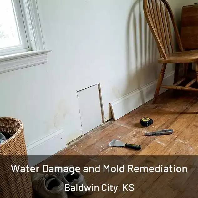  Water Damage and Mold Remediation Baldwin City, KS
