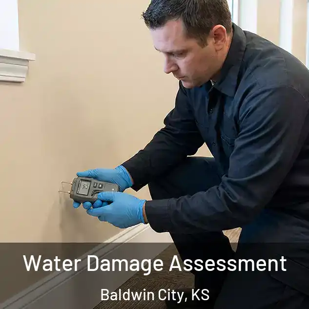  Water Damage Assessment Baldwin City, KS