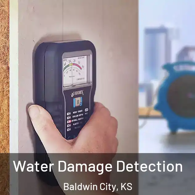  Water Damage Detection Baldwin City, KS