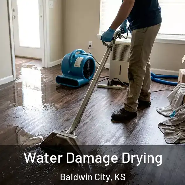  Water Damage Drying Baldwin City, KS
