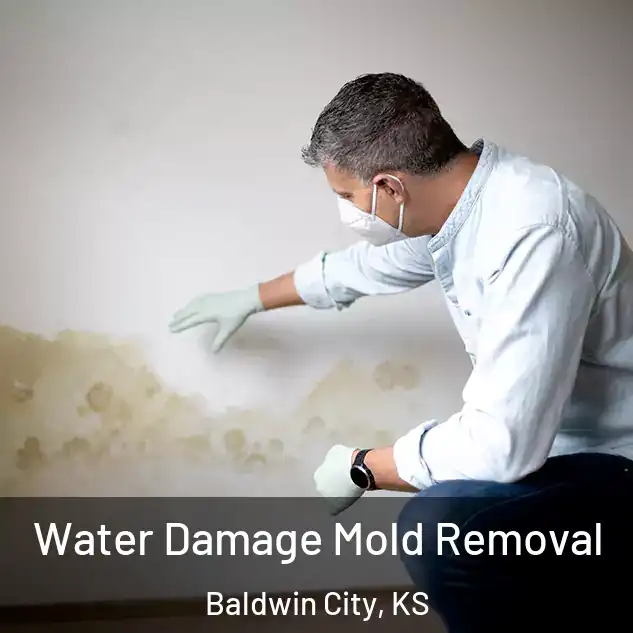  Water Damage Mold Removal Baldwin City, KS