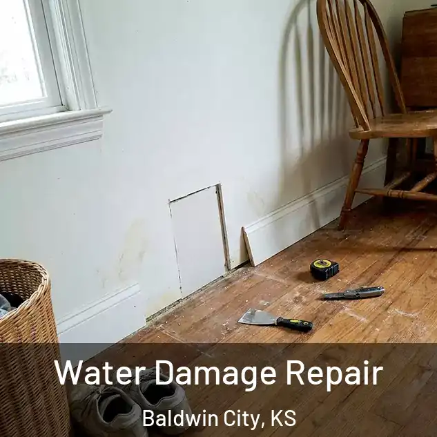  Water Damage Repair Baldwin City, KS