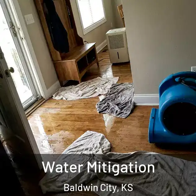  Water Mitigation Baldwin City, KS
