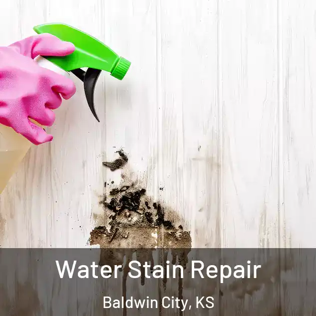  Water Stain Repair Baldwin City, KS