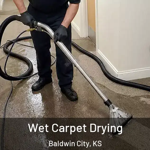  Wet Carpet Drying Baldwin City, KS