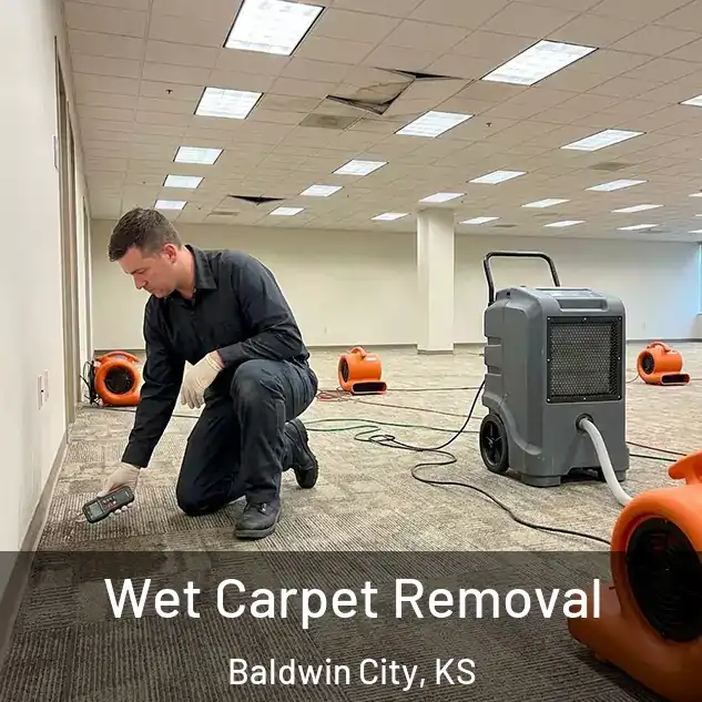  Wet Carpet Removal Baldwin City, KS